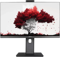 Монитор RDW Computers 23.8" RDW2402K/F00B3 черный IPS 6ms 16:9 HDMI M/M Cam матовая HAS Piv 250cd 178гр/178гр 1920x1080 75Hz VGA DP FHD USB (RUS)