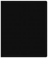 Папка на 2-х кольцах Buro -ECB413/2RBLACK A4 пластик 0.5мм черный