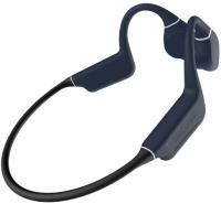Гарнитура накладные Creative Outlier Free Pro Plus черный/синий беспроводные bluetooth (51EF1081AA00