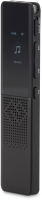 Диктофон Цифровой Digma DiVoice RV70 черный
