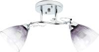 Люстра Hiper Rosa H197-2 потолоч. хром