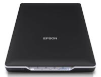 Сканер Epson Perfection V19 (B11B231401)