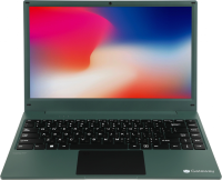 Ноутбук Gateway Ultra Slim 14 Ryzen 5 3500U 8Gb SSD256Gb AMD Radeon Vega 8 14.1" IPS FHD (1920x1080) Windows 11 Home green WiFi BT Cam (GWNR51416-GR)