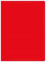Папка с 20 прозр.вклад. Бюрократ DeLuxe DLV20RED A4 пластик 0.7мм красный