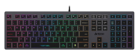 Клавиатура A4Tech Fstyler FX60 серый USB slim LED (FX60 GREY / NEON)