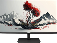 Монитор RDW Computers 23.8" RDW2401K черный IPS 5ms 16:9 HDMI M/M матовая HAS Piv 1000:1 350cd 178гр/178гр 1920x1080 120Hz VGA DP FHD USB 4.185кг (RUS)