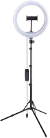 Комплект освещения Rekam RL-31 LED 190 Kit постоянный