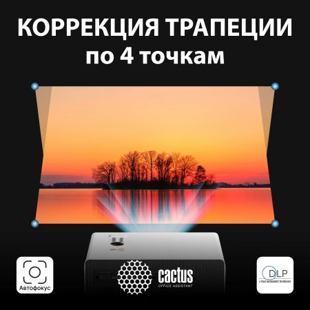 Проектор Cactus CS-C4.SG DLP 28500Lm LS 2850Lm ANSI (1920x1080) 800000:1 ресурс лампы:25000часов 1xUSB typeA 2xHDMI 6.8кг