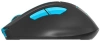 Мышь A4Tech Fstyler FG30 серый/синий оптическая (2000dpi) беспроводная USB (6but)