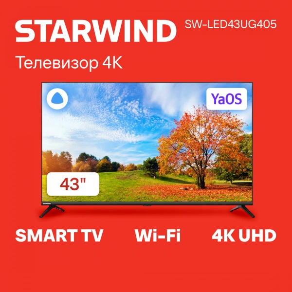 Телевизор LED Starwind 43" SW-LED43UG405 Яндекс.ТВ Frameless черный 4K Ultra HD 60Hz DVB-T DVB-T2 DVB-C DVB-S DVB-S2 USB WiFi Smart TV