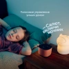 Умная колонка Sber Boom Home SBDV-00171G Салют серый 8W Mono BT/Wi-Fi (без.бат)