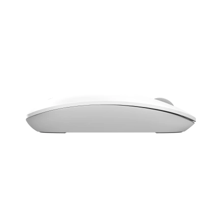 Мышь A4Tech Fstyler FG20 белый оптическая (2000dpi) беспроводная USB для ноутбука (4but)