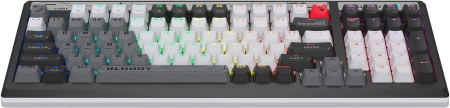 Клавиатура A4Tech Bloody B950 механическая серый/черный USB for gamer LED (B950)