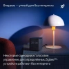 Умная колонка Yandex Станция Миди YNDX-00054PNK голос.п.:Алиса малиновый 24W 1.0 BT/Wi-Fi 10м