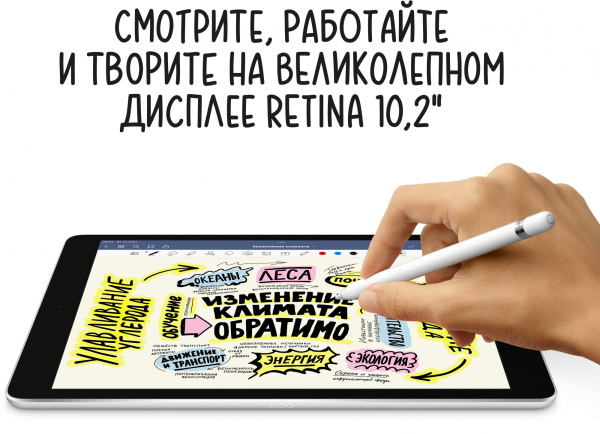 Планшет Apple iPad 2021 A2602 A13 Bionic 6С RAM3Gb ROM256Gb 10.2" IPS 2160x1620 iOS серый космос 8Mpix 12Mpix BT WiFi 10hr