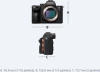 Фотоаппарат Sony Alpha 7 III черный 25.3Mpix 3.2" UHD 4K WiFi SEL2870 NP-FZ100 (с объективом)