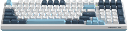 Клавиатура A4Tech Fstyler FS300 механическая белый/синий USB for gamer LED (FS300 PANDA SNOWBOARDING