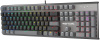 Клавиатура A4Tech Fstyler FS100 Neon механическая черный USB for gamer LED (FS100)