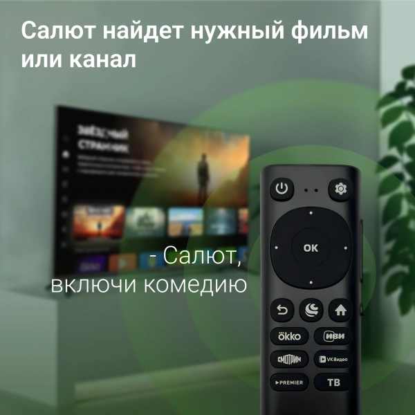 Телевизор LED Digma 40" DM-LED40SBB36 Smart Салют ТВ Frameless черный/FULL HD/DVB-T/60Hz/DVB-T2/DVB-