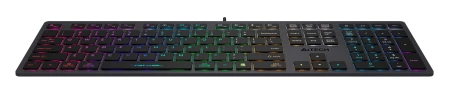 Клавиатура A4Tech Fstyler FX60 серый USB slim LED (FX60 GREY / NEON)