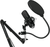 Микрофон проводной Оклик SM-600G 2.5м черный