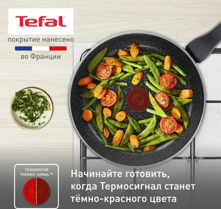 Сковорода Tefal Rock 04235126 круглая 26см покрытие: Mineralia ручка несъемная (без крышки) черный