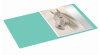 Папка с 20 прозр.вклад. Бюрократ Pastel PAST20GRN A4 пластик 0.5мм торц.карм с бум. встав мятный