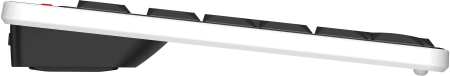 Клавиатура A4Tech Fstyler FBX70C черный USB беспроводная BT/Radio slim Multimedia (FBX70C)