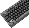 Клавиатура A4Tech Fstyler FS100 Neon механическая черный USB for gamer LED (FS100)