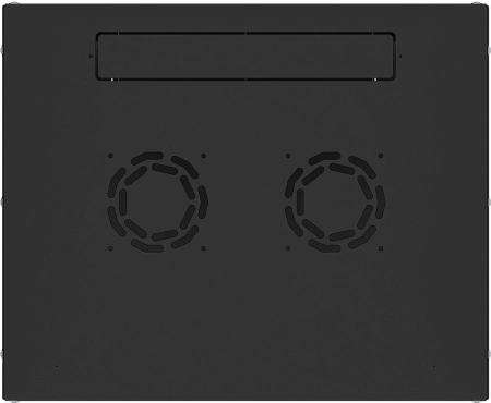 Шкаф коммутационный NTSS Lime (NTSS-WL9U5545GS-BL) настенный 9U 550x450мм пер.дв.стекл несъемн.бок.п