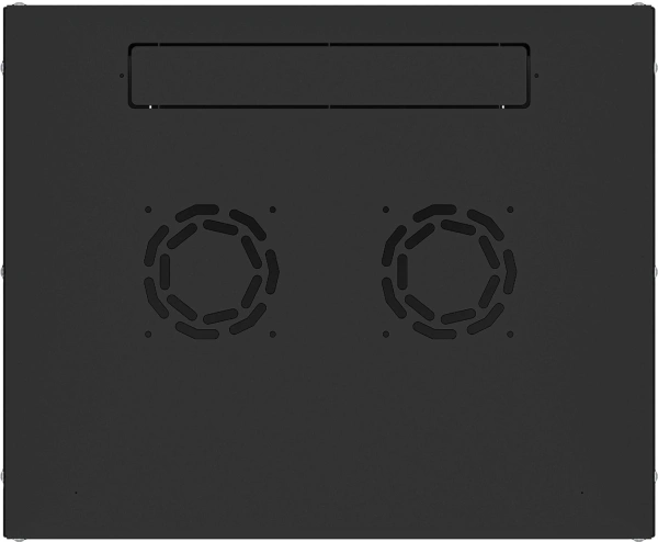 Шкаф коммутационный NTSS Lime (NTSS-WL9U5560GS-BL) настенный 9U 550x600мм пер.дв.стекл несъемн.бок.п