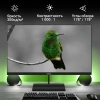 Монитор Digma 27" Progress 27P402F черный IPS LED 5ms 16:9 HDMI M/M матовая 300cd 178гр/178гр 1920x1080 100Hz G-Sync DP FHD 4.3кг