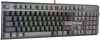 Клавиатура A4Tech Fstyler FS100 Neon механическая черный USB for gamer LED (FS100)