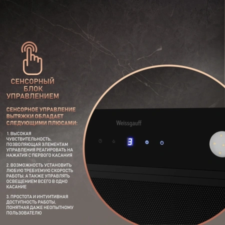 Вытяжка встраиваемая Weissgauff Dubhe 600 Touch черный управление: кнопочное (1 мотор)