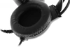 Наушники с микрофоном A4Tech Fstyler FH300U черный 2м мониторные USB оголовье (FH300U BLACK)