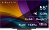 Телевизор LED Digma Pro 55" UHD 55C Google TV Frameless черный/черный 4K Ultra HD 120Hz HSR DVB-T DVB-T2 DVB-C DVB-S DVB-S2 USB WiFi Smart TV