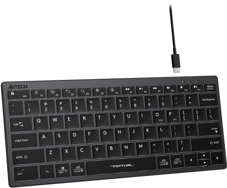 Клавиатура A4Tech Fstyler FX61 серый USB slim LED (FX61 GREY)