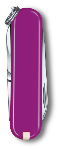 Нож перочинный Victorinox Classic Tasty Grape (0.6223.52G) 58мм 7функц. карт.коробка