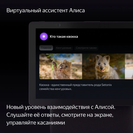 Умная колонка Yandex Станция Дуо Макс Zigbee голос.п.:Алиса красный 60W 1.0 BT/Wi-Fi 10м (YNDX-00055