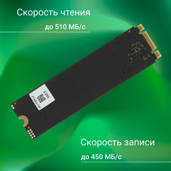 Накопитель SSD Digma SATA III 256Gb DGSR1256GS93T Run S9 M.2 2280