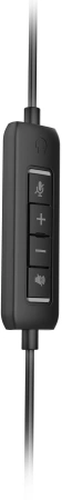 Наушники с микрофоном Acer OHW309 черный 1.6м накладные USB (ZL.HDSEE.004)