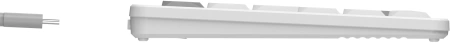 Клавиатура A4Tech Fstyler FBX55C белый USB беспроводная BT/Radio slim Multimedia (FBX55C)