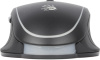 Мышь A4Tech Bloody Q81 Curve черный оптическая (6200dpi) USB (8but)