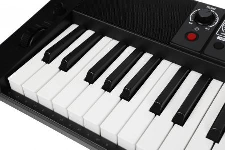 Синтезатор Casio CT-S500 61клав. черный
