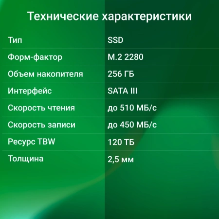 Накопитель SSD Digma SATA III 256Gb DGSR1256GS93T Run S9 M.2 2280