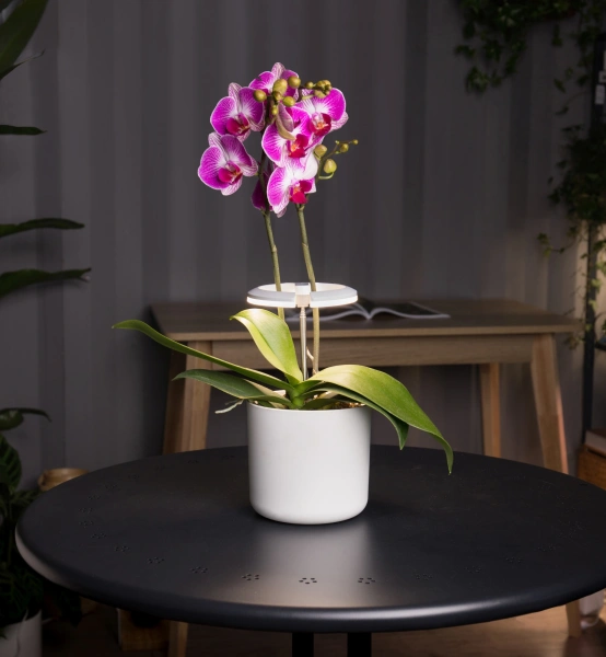 Светильник фито Cactus GARDEN светод. 7.5Вт цв.св.:белый (CS-LED-ORCHID)