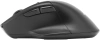 Мышь Acer OMR170 черный оптическая (1600dpi) беспроводная BT/Radio USB (5but)