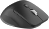 Мышь Acer OMR405 черный оптическая 4800dpi беспров. BT/Radio USB 8but (ZL.MCEEE.02V)