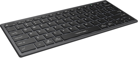 Клавиатура A4Tech Fstyler FX61 серый USB slim LED (FX61 GREY)