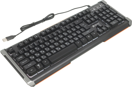 Клавиатура Оклик 717G BLACK DEATH черный/серый USB Multimedia for gamer LED
